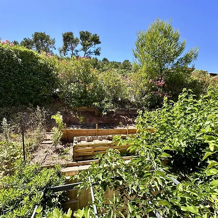 Le Patio * Hyeres